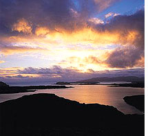 A wee dram to relax after the day?